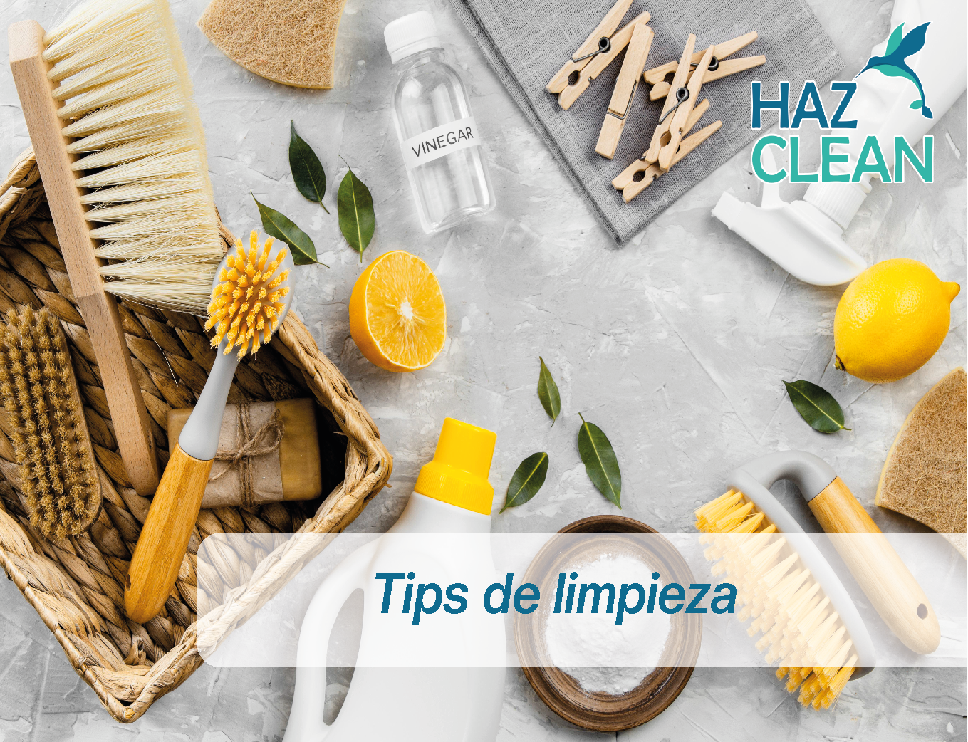 Tips de limpieza Haz Clean
